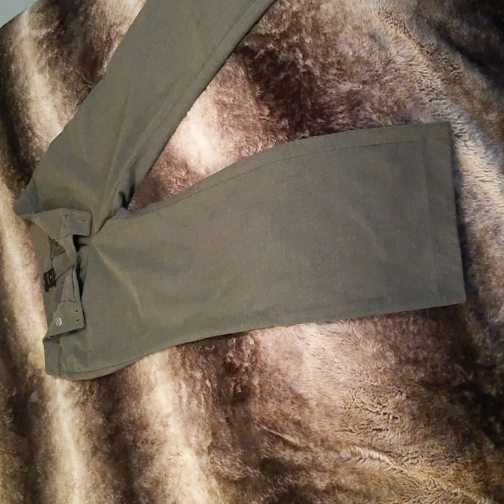Ann Taylor Petite Pants - Picture 2 of 3